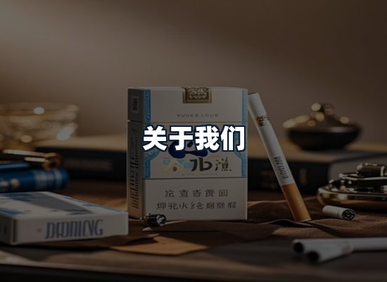 关于我们